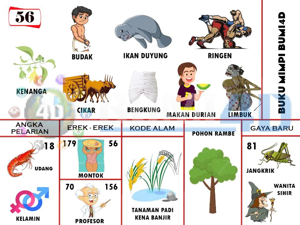 buku mimpi erek erek togel 56